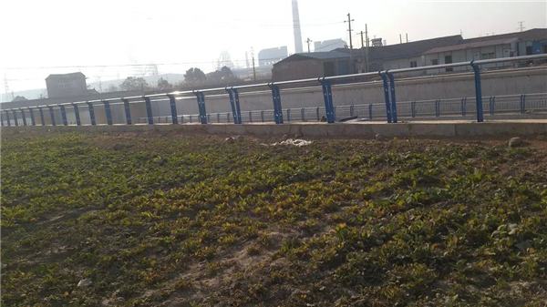 广州不锈钢河道护栏
